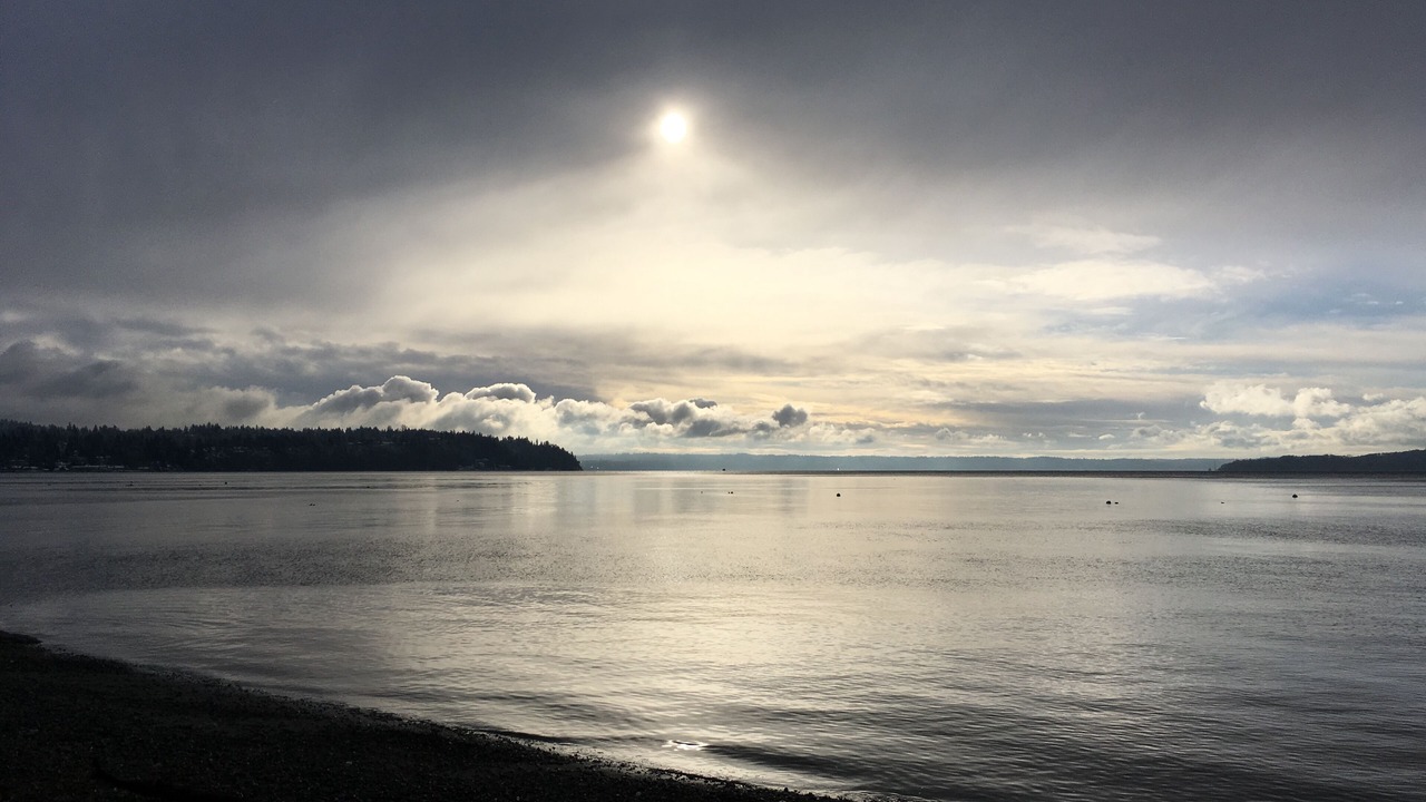 Photo of Others in Three Tree Point