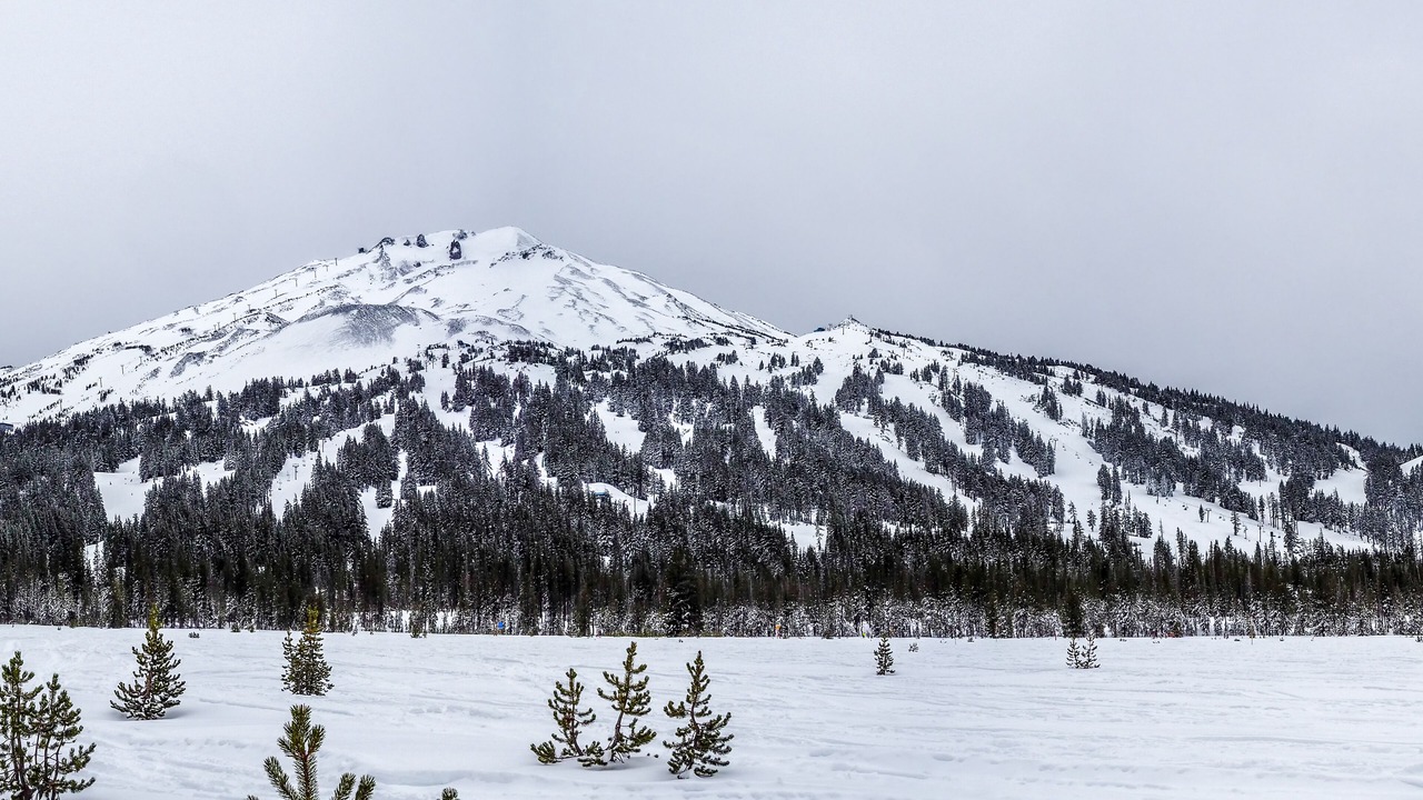 Photo of Others in Bend
