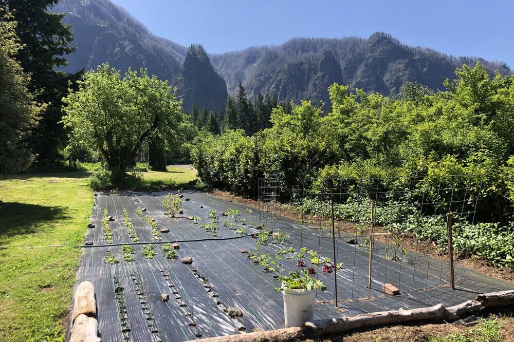 Photo of Others in Cascade Locks