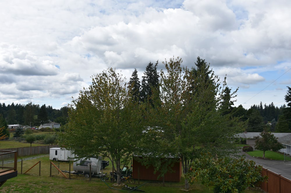 Photo of Outdoor in Puyallup