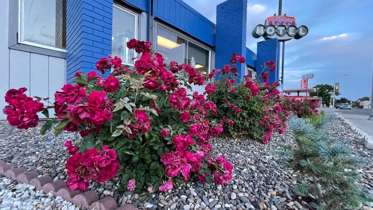 Photo of Outdoor in Ontario
