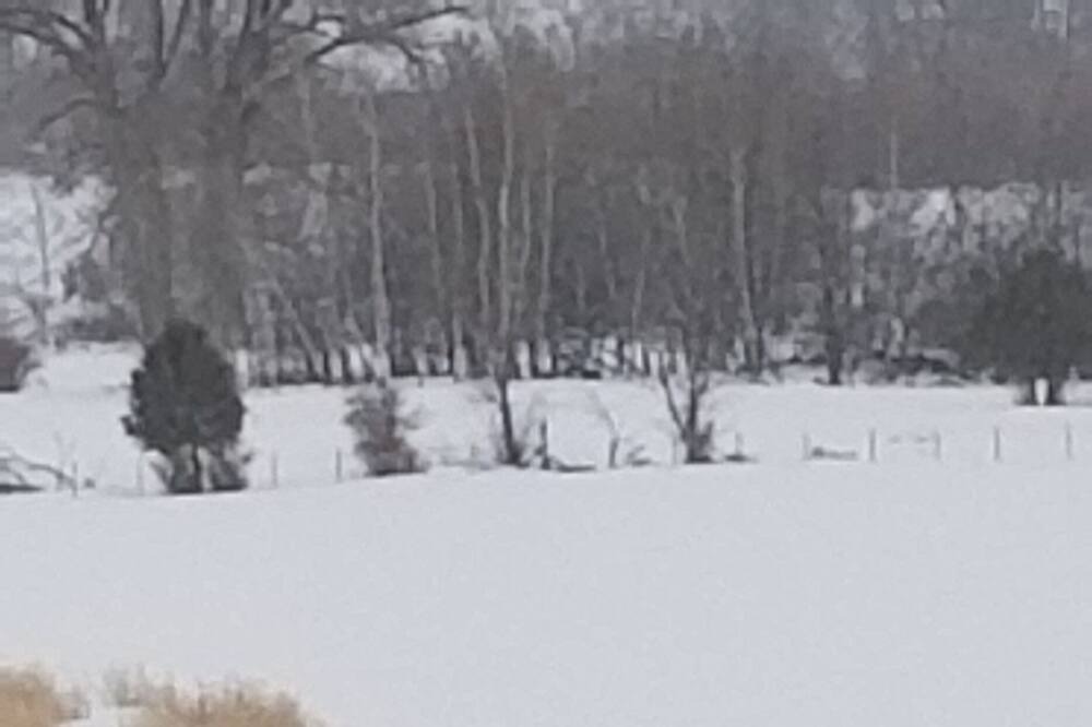 Photo of Others in St. Anthony