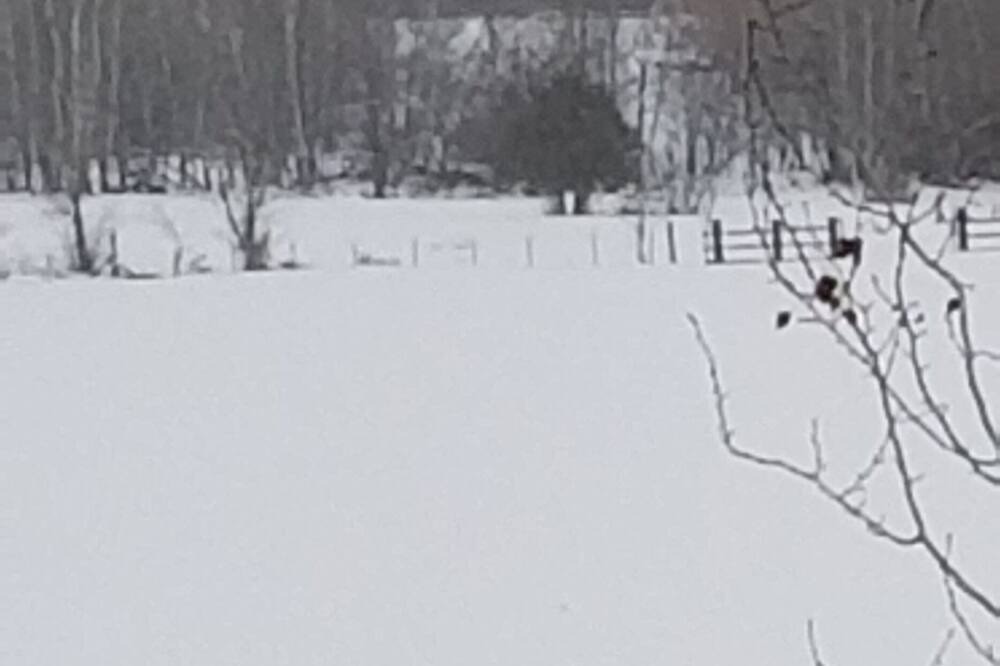 Photo of Others in St. Anthony