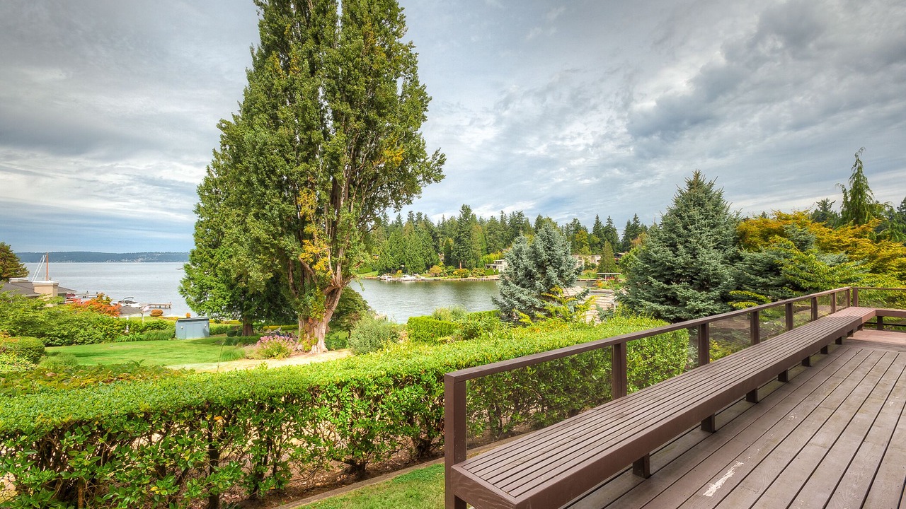 Photo of Outdoor in Bellevue