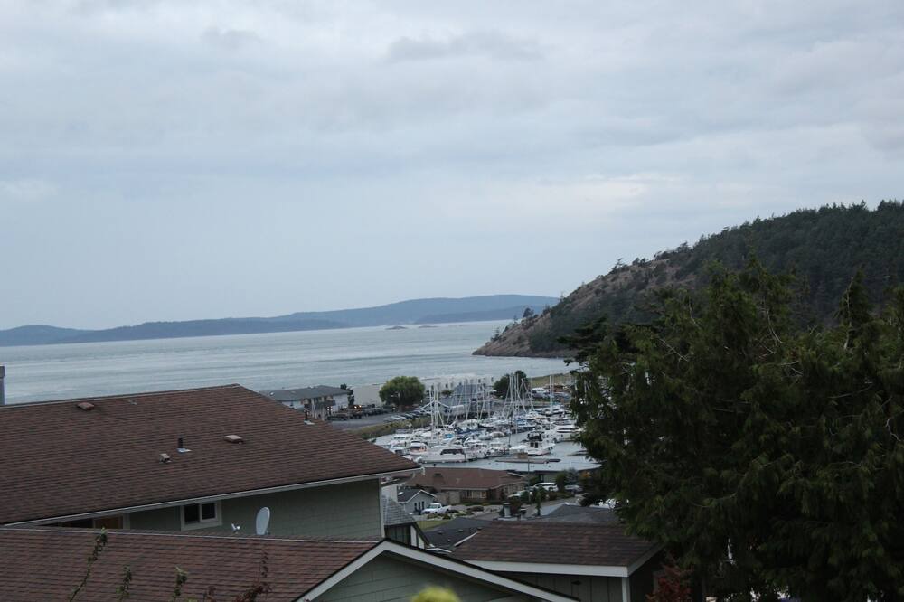 Photo of Others in Anacortes