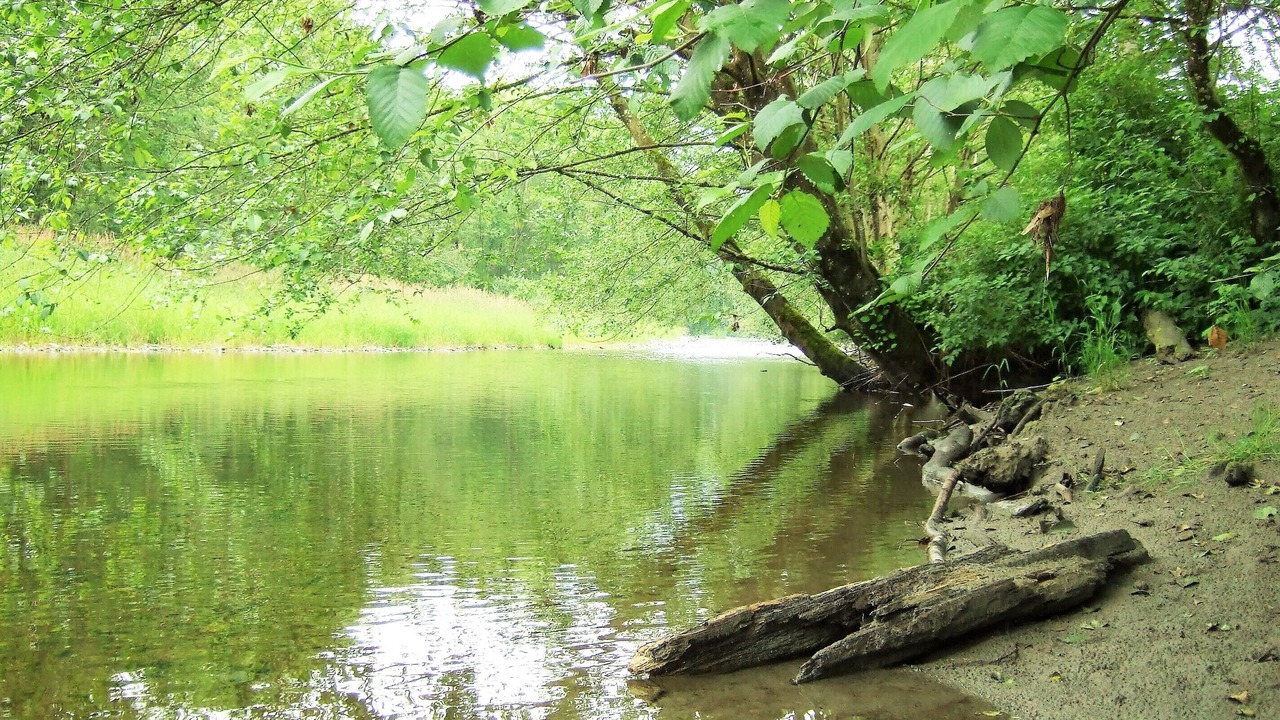 Photo of Outdoor in Sedro-Woolley