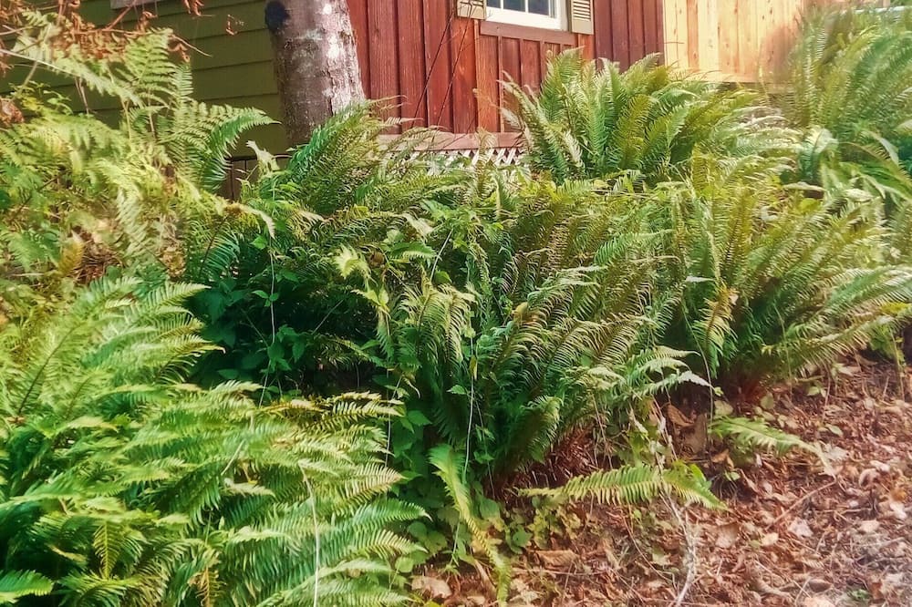 Photo of Others in Duvall