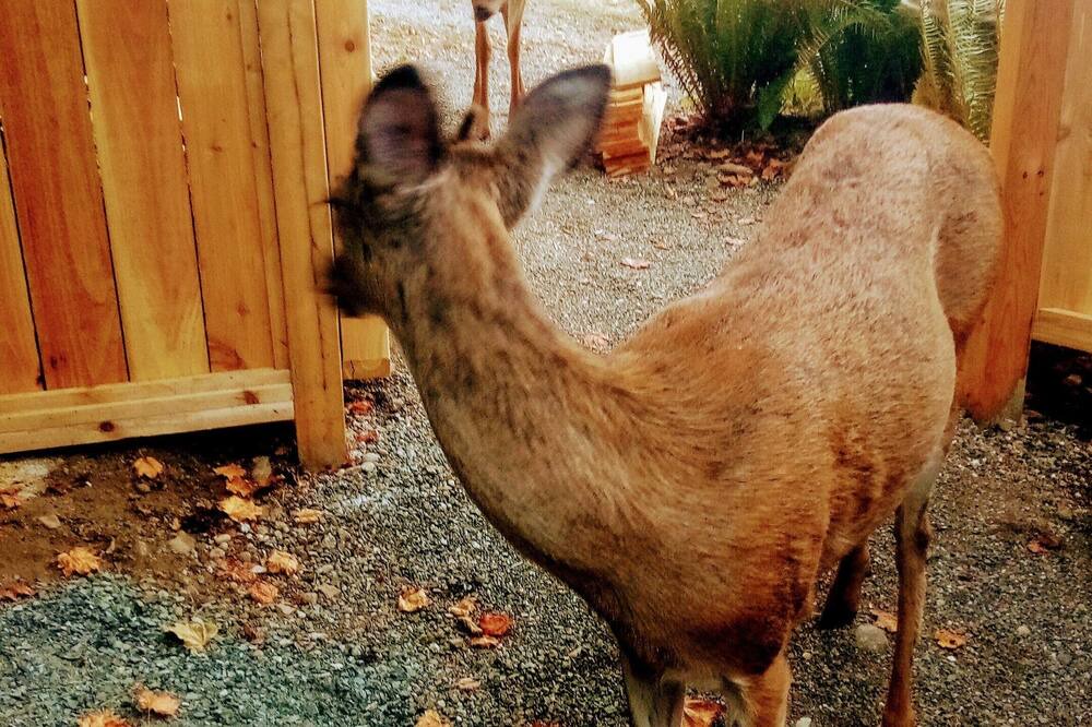 Photo of Others in Duvall