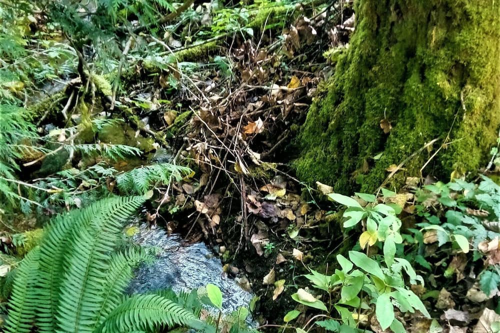 Photo of Others in Duvall