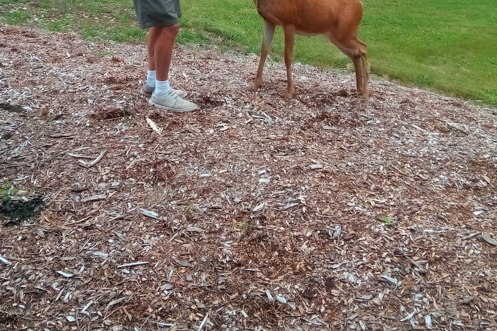 Photo of Others in Duvall
