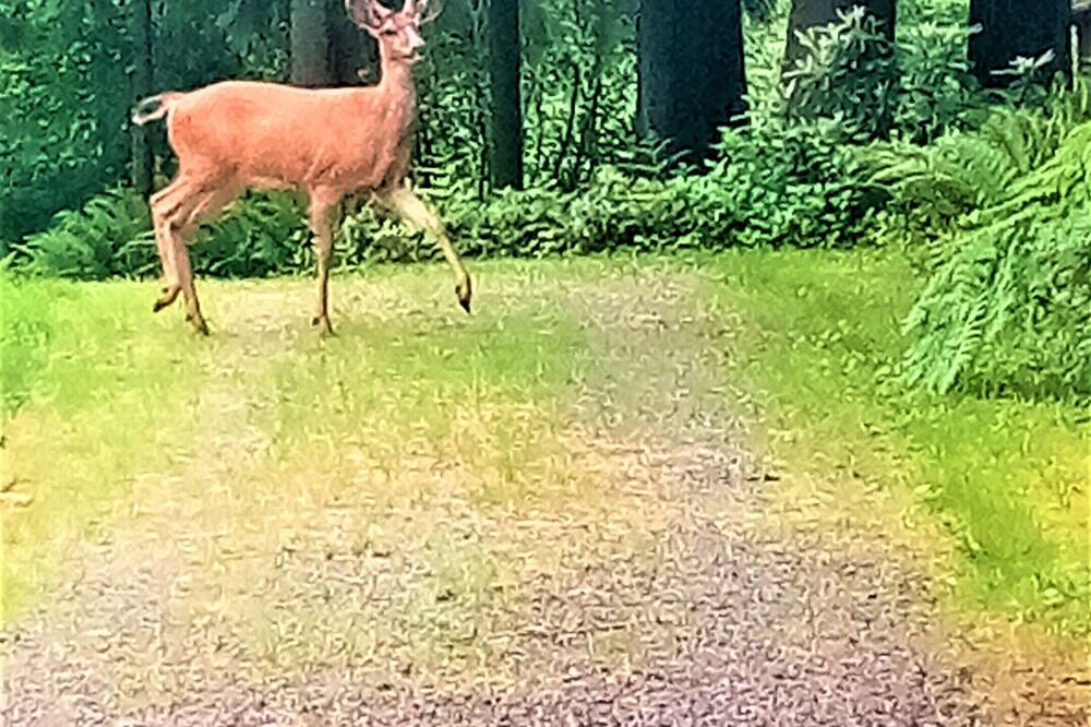 Photo of Others in Duvall