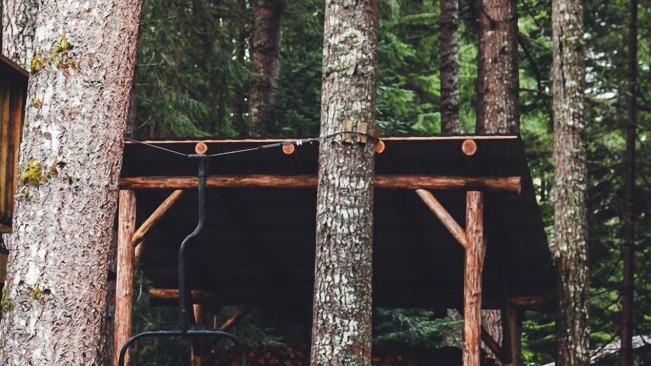 Photo of Outdoor in Enumclaw