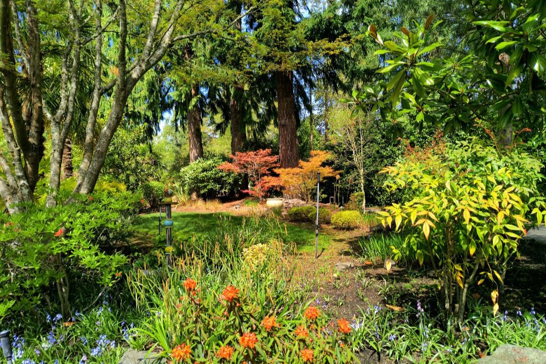 Photo of Outdoor in Edmonds