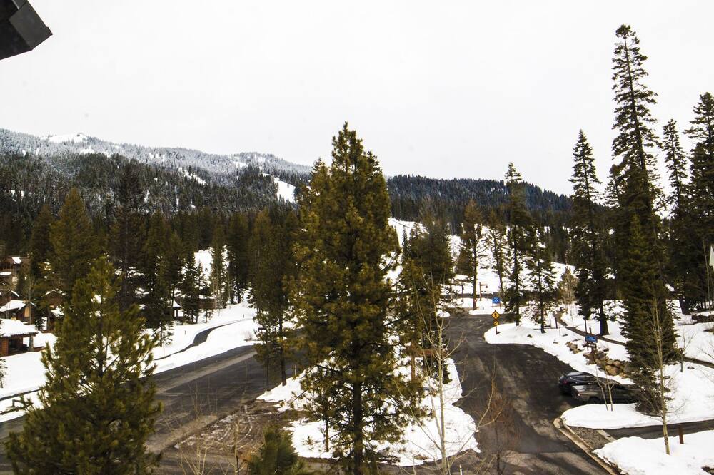 Photo of Others in Tamarack