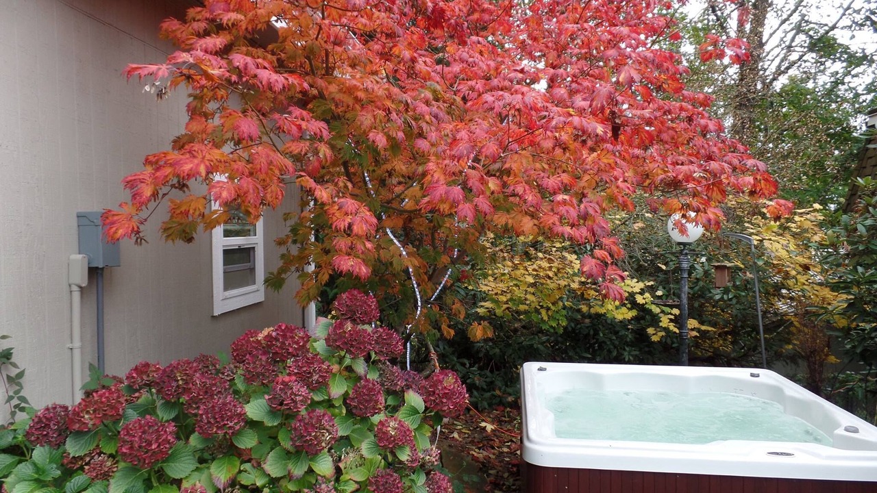Photo of Outdoor in Bellingham