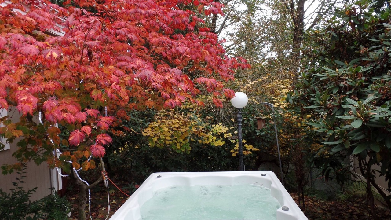 Photo of Outdoor in Bellingham