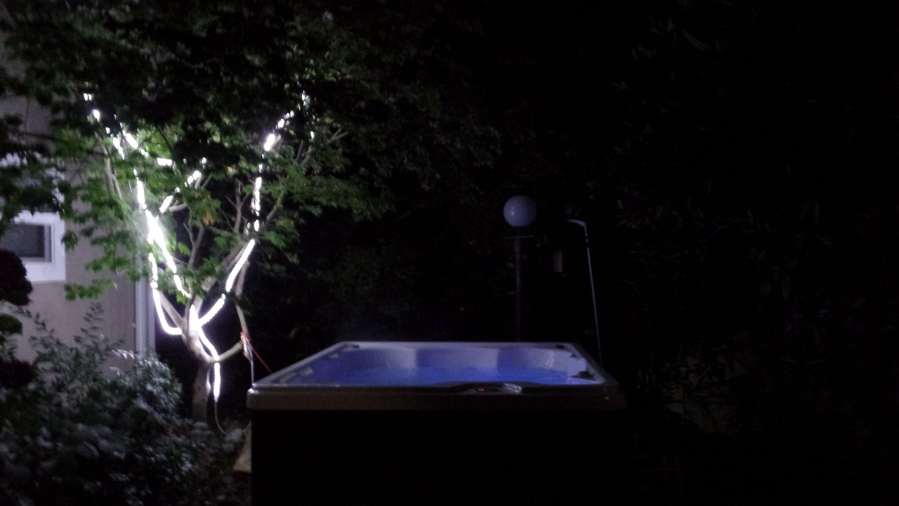 Photo of Outdoor in Bellingham