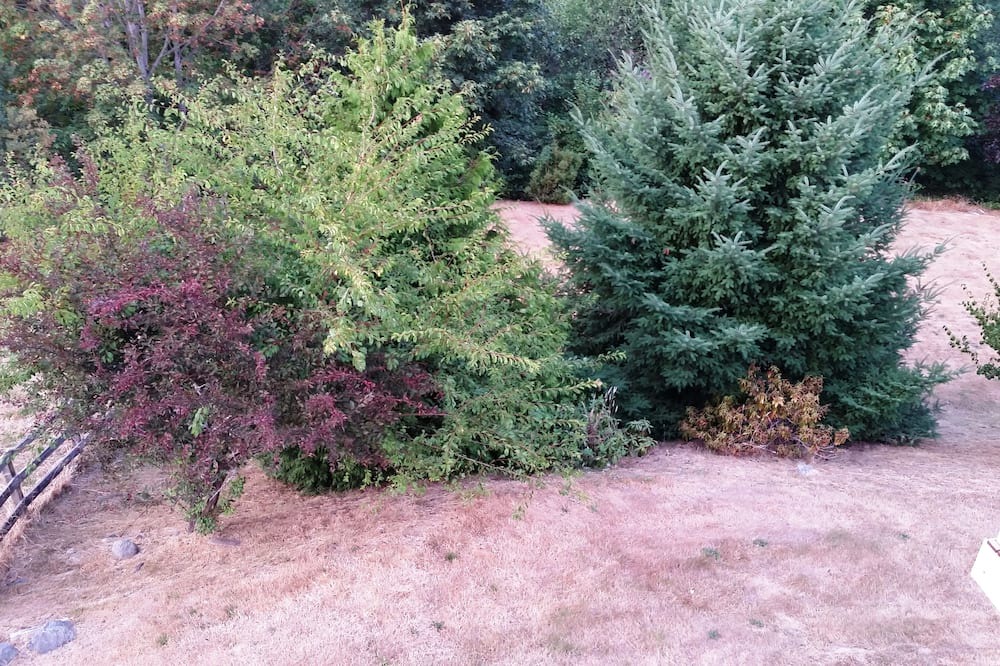 Photo of Others in Puyallup