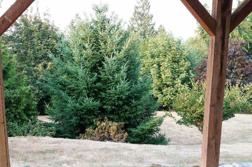 Photo of Patio Balcony in Puyallup