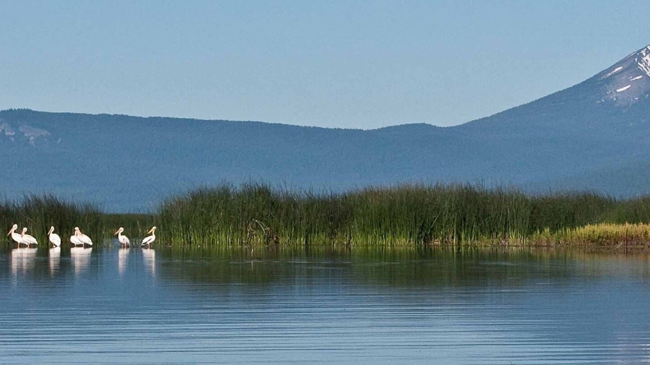 Photo of Outdoor in Klamath Falls
