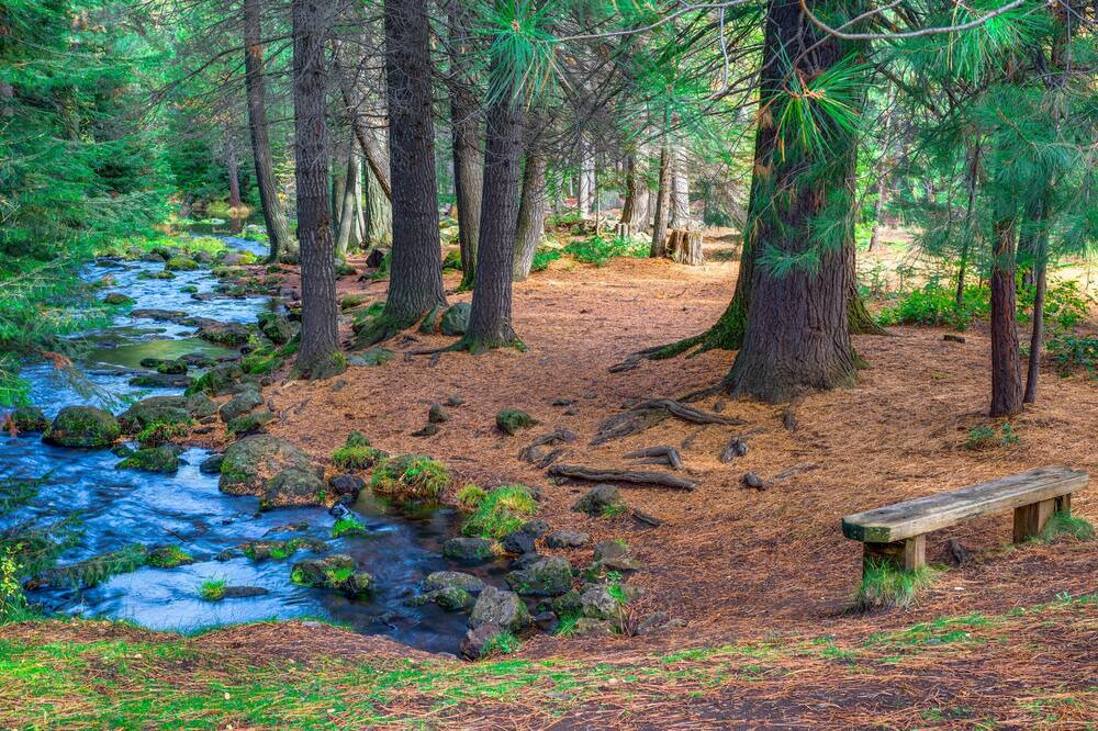 Photo of Others in Black Butte Ranch