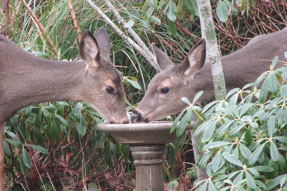 Photo of Outdoor in Rollingbay