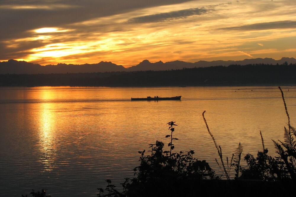 Photo of Others in Rollingbay