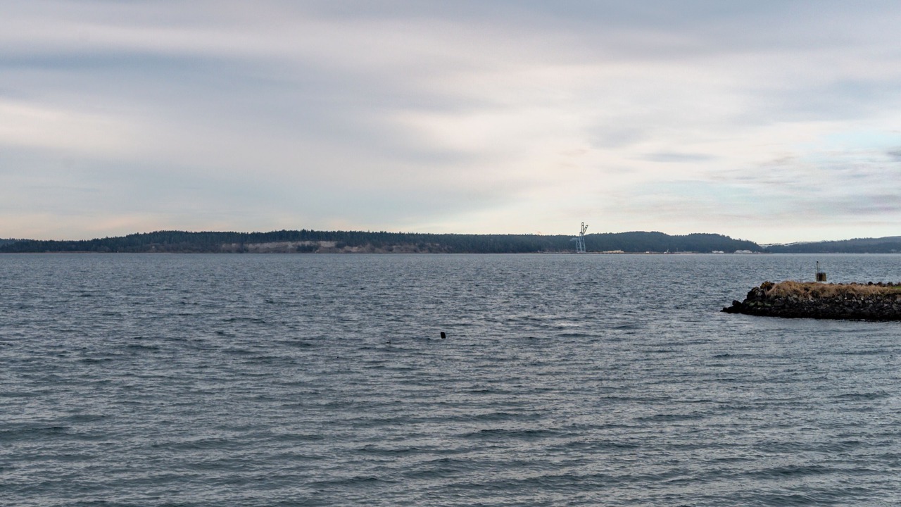 Photo of Bedroom in Port Townsend
