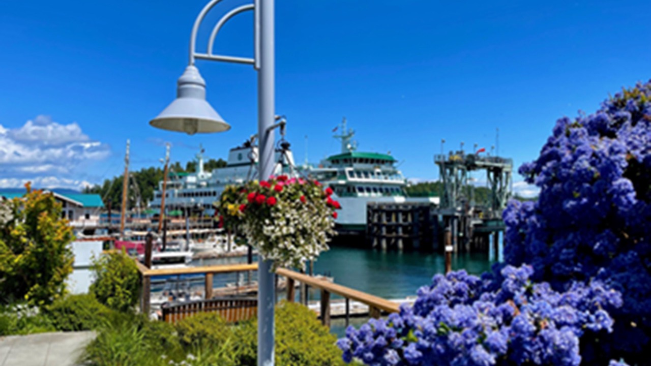 Photo of Others in Friday Harbor