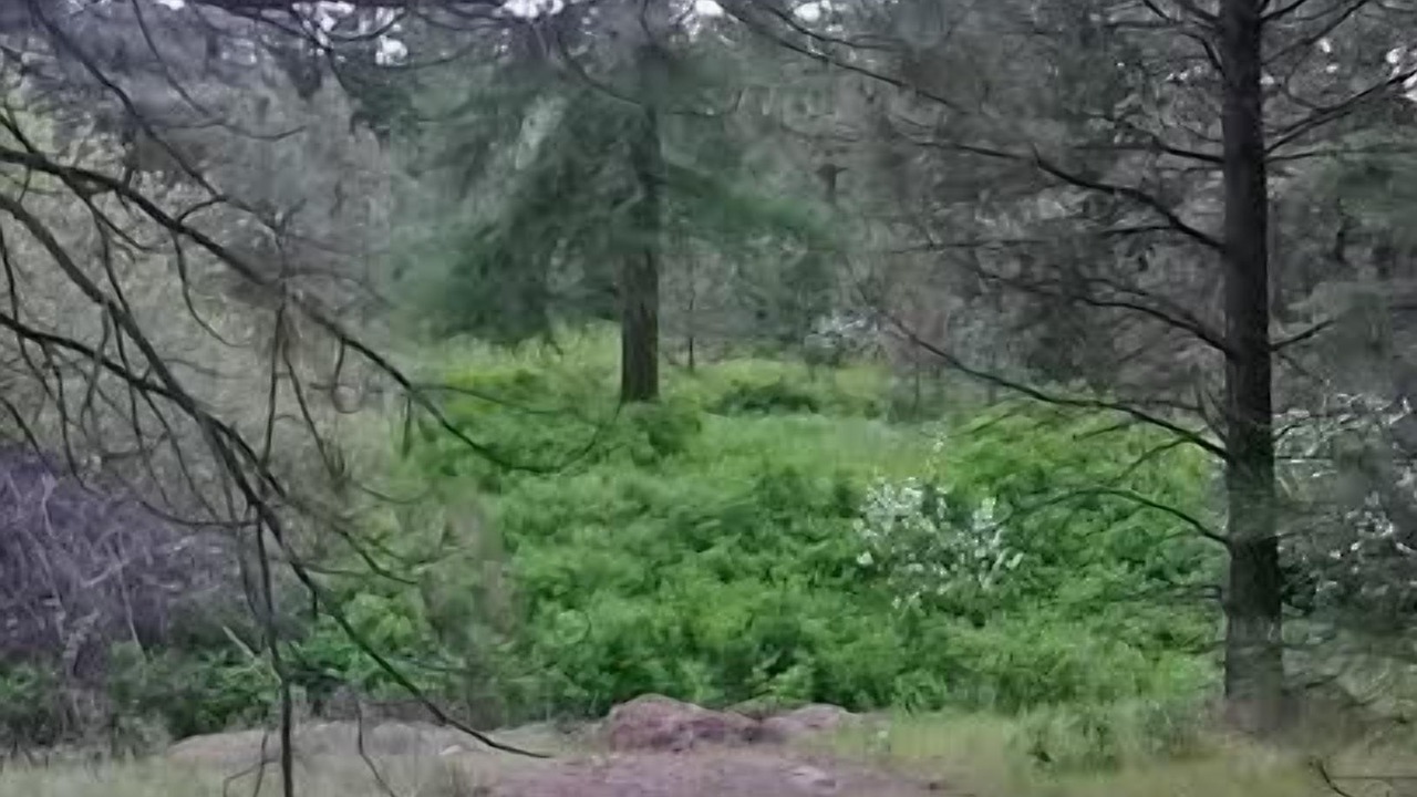 Photo of Outdoor in Fruitland