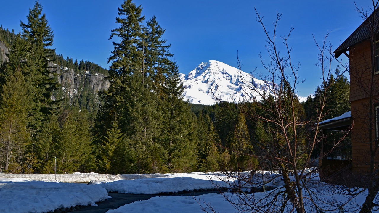 Photo of Outdoor in Longmire