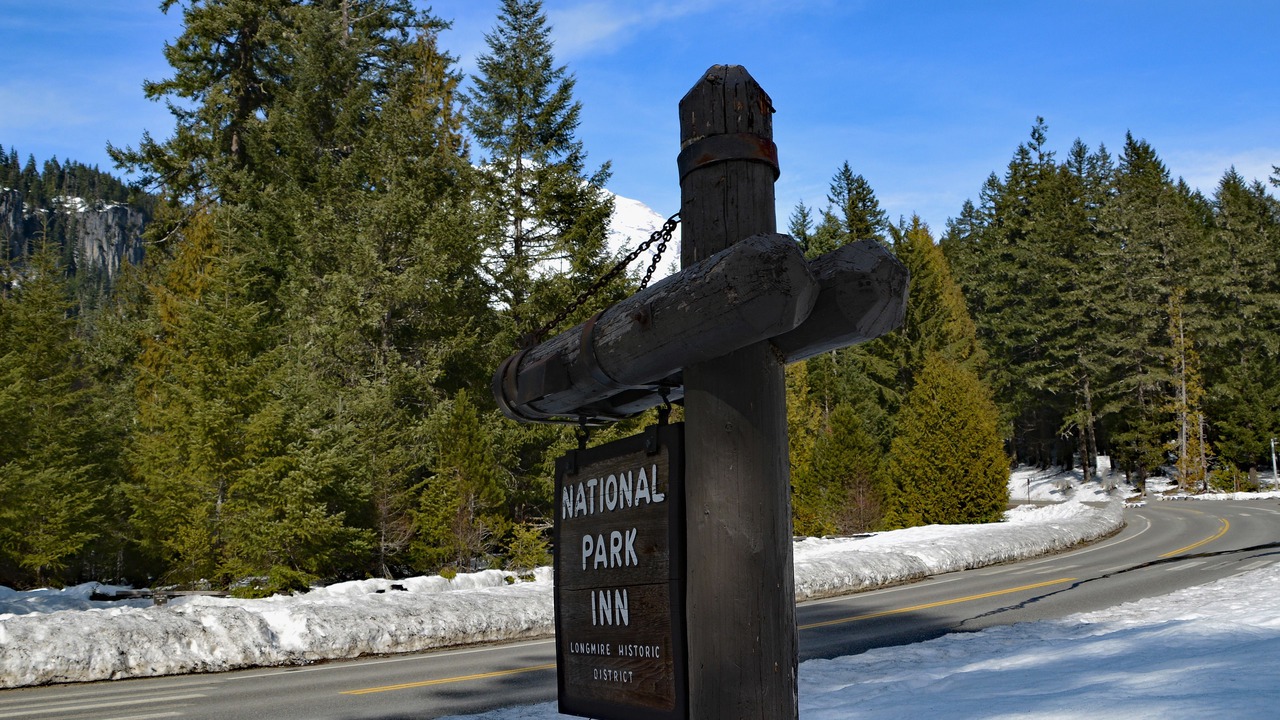 Photo of Outdoor in Longmire
