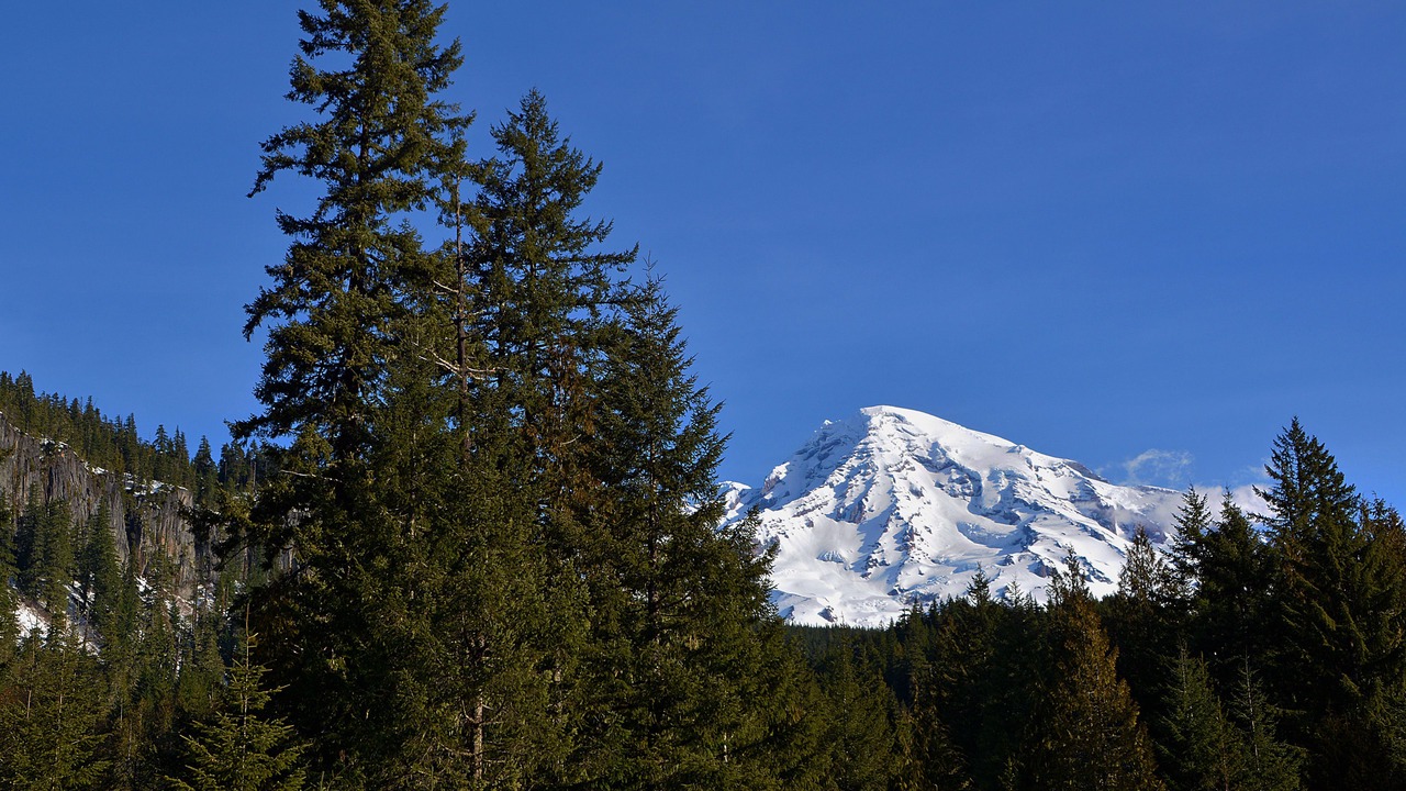 Photo of Outdoor in Longmire