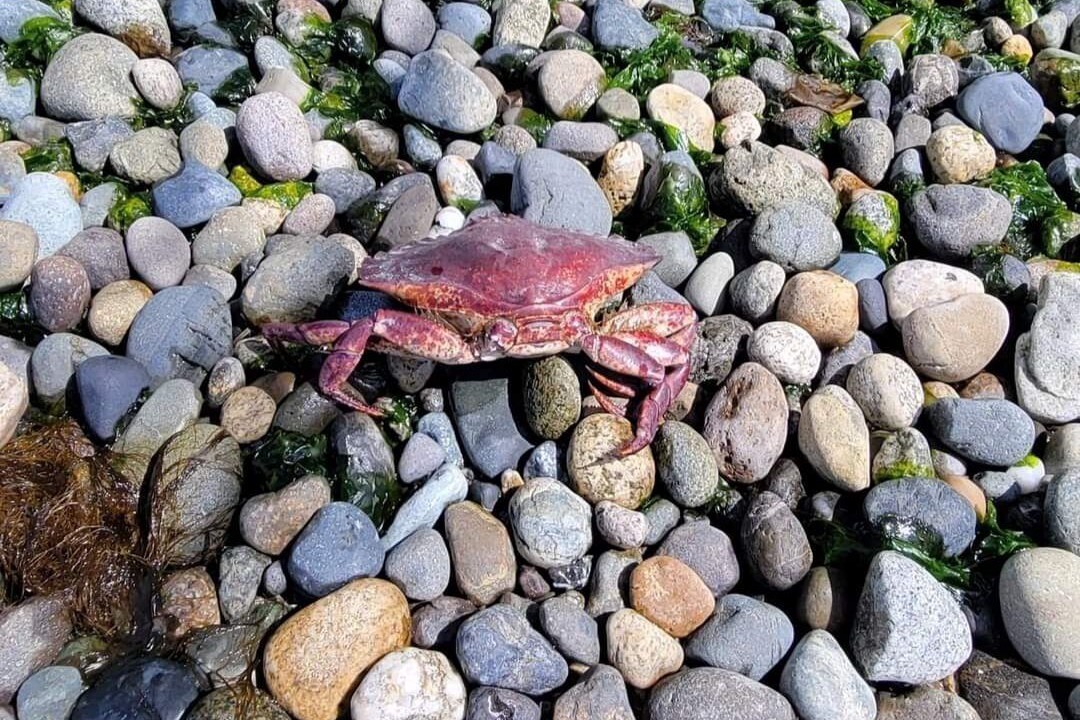 Photo of Others in Seahurst