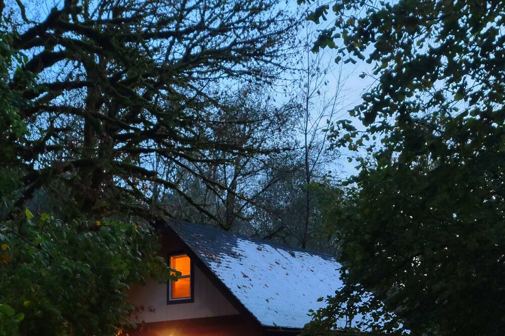 Photo of Outdoor in Alsea