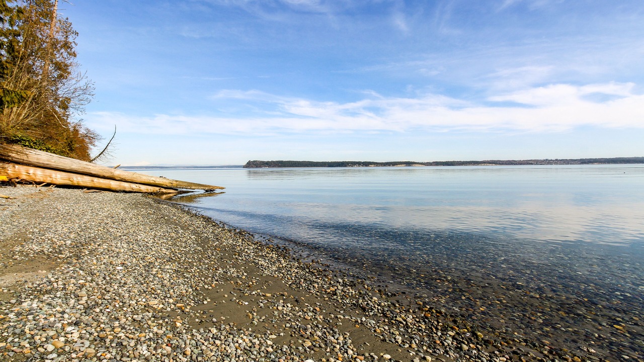 Photo of Others in Port Ludlow