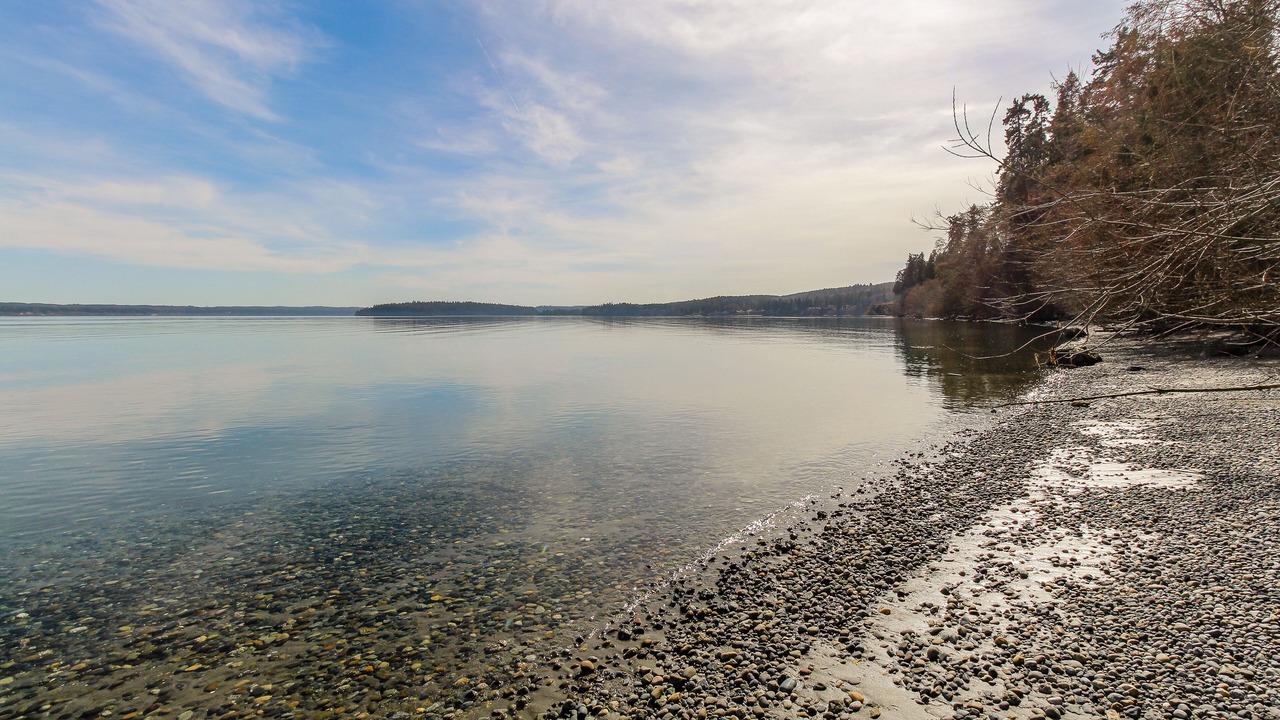 Photo of Others in Port Ludlow