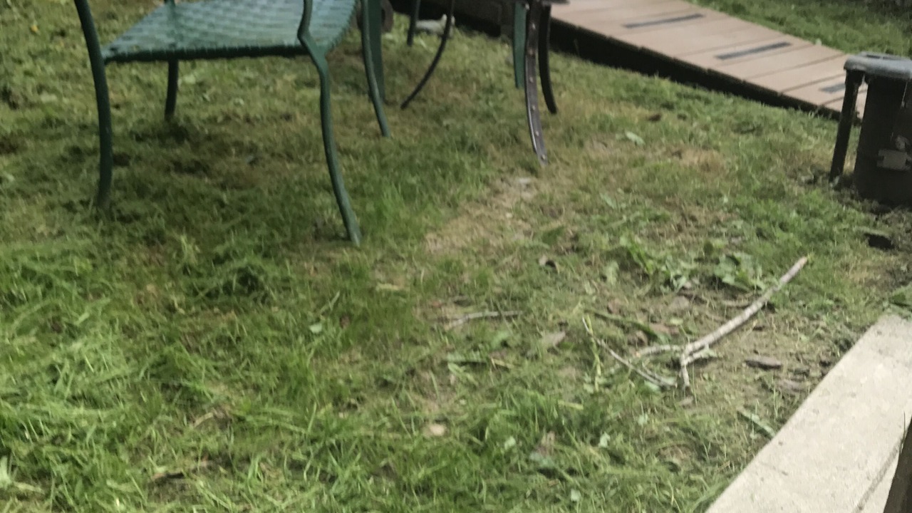 Photo of Outdoor in Lakebay