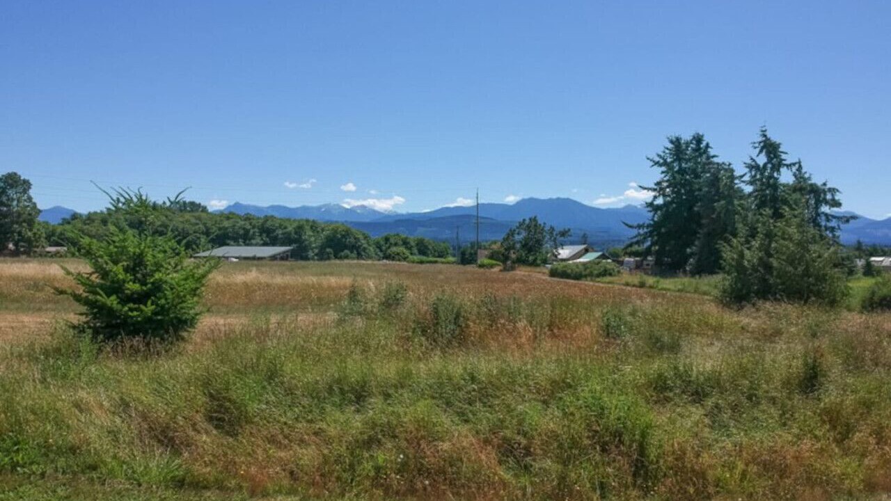 Photo of Others in Sequim