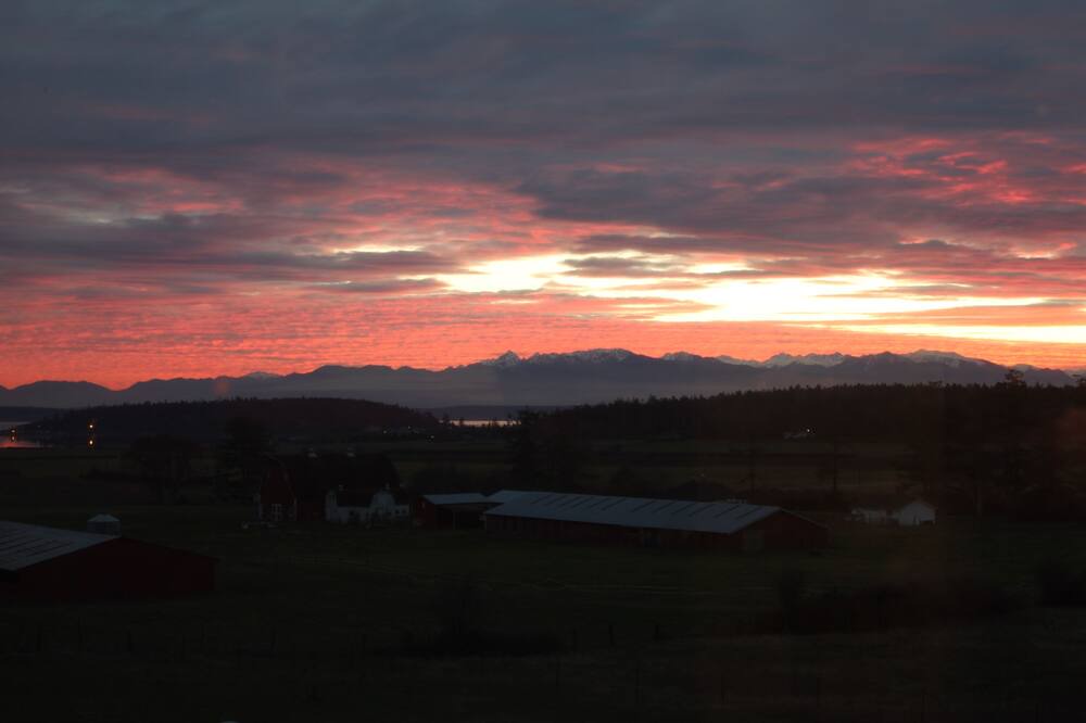 Photo of Others in Coupeville