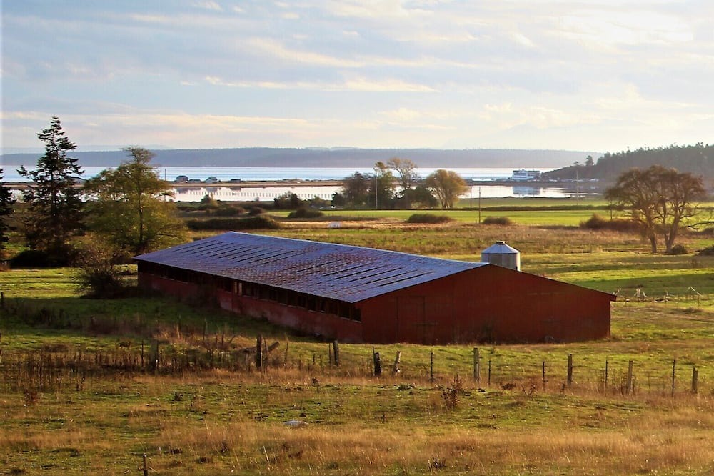 Photo of Outdoor in Coupeville