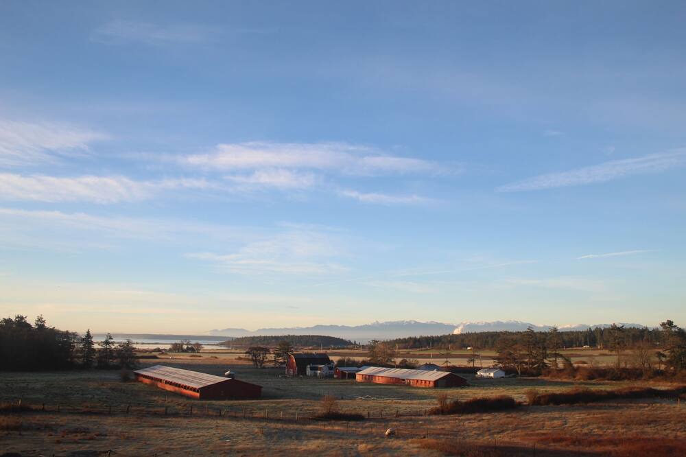 Photo of Outdoor in Coupeville