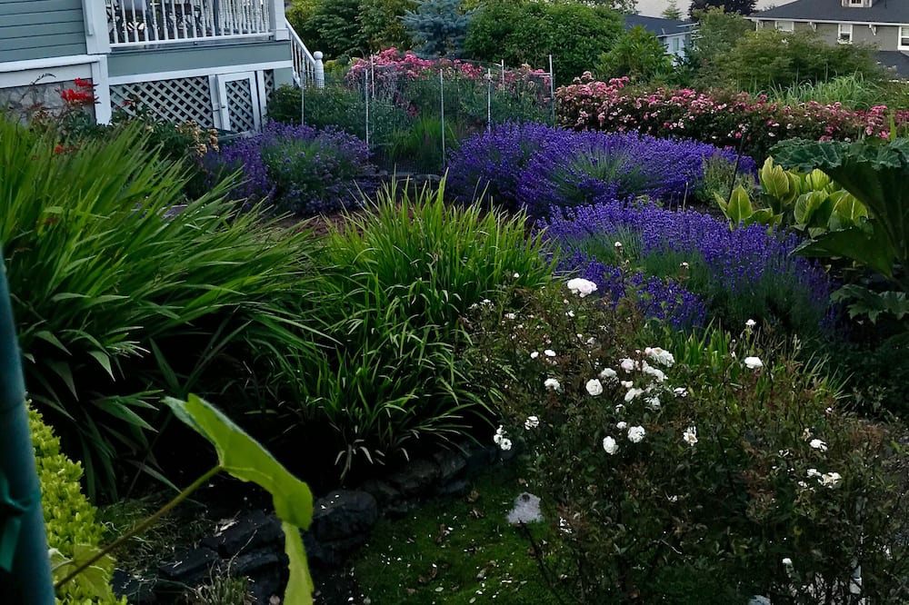 Photo of Outdoor in North End