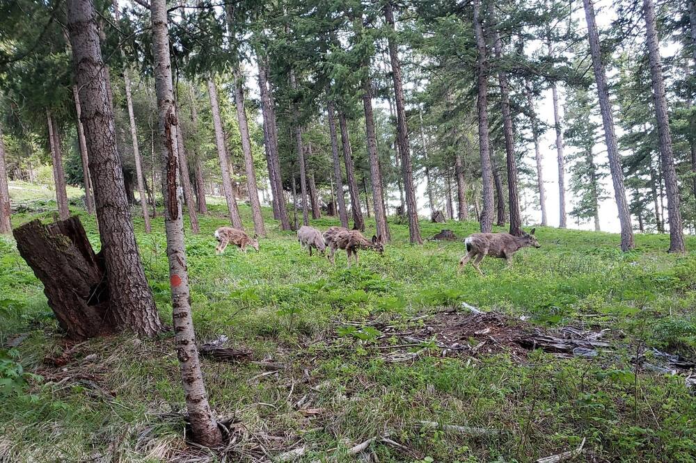 Photo of Others in Cle Elum