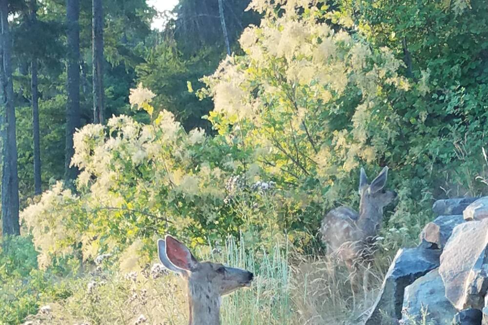 Photo of Others in Cle Elum