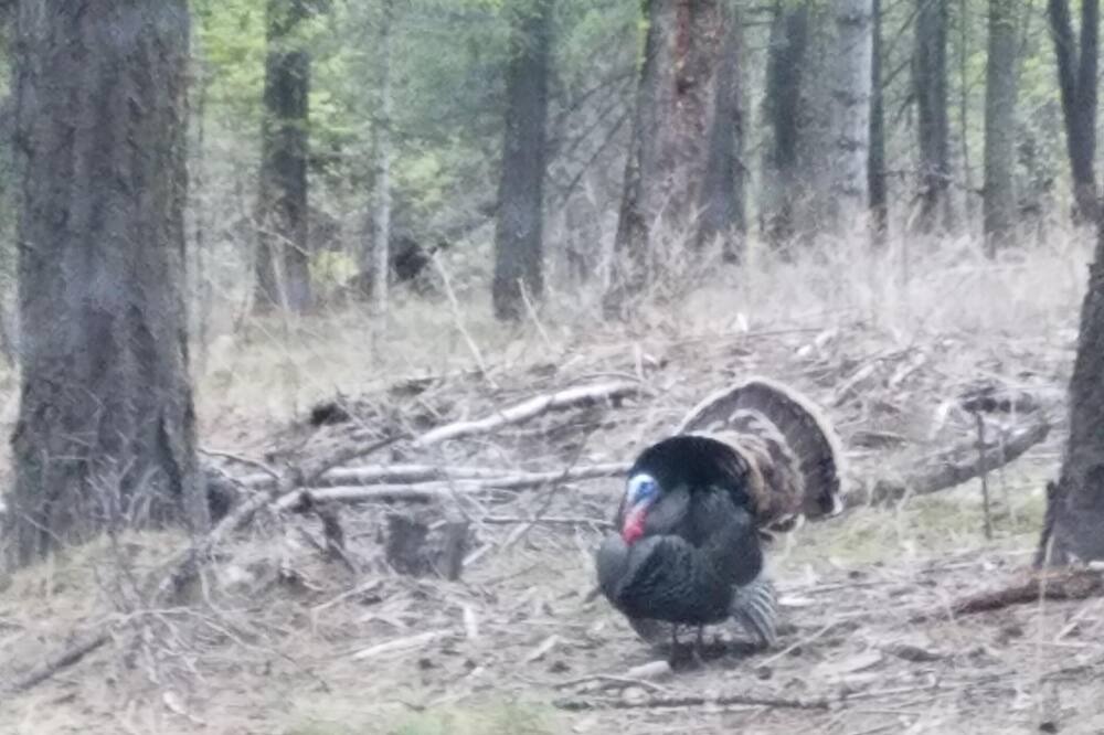 Photo of Others in Cle Elum