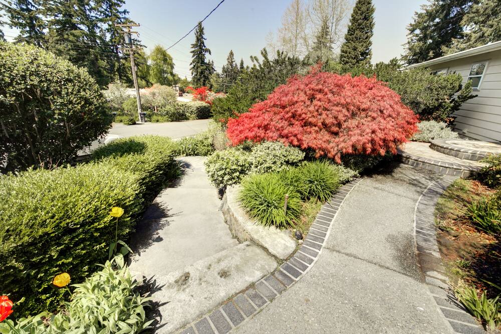Photo of Outdoor in Mercer Island