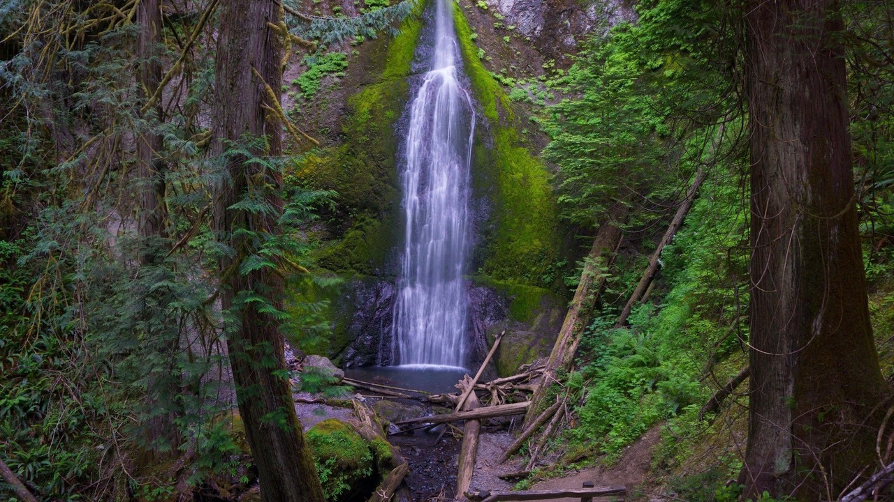 Photo of Outdoor in Port Angeles