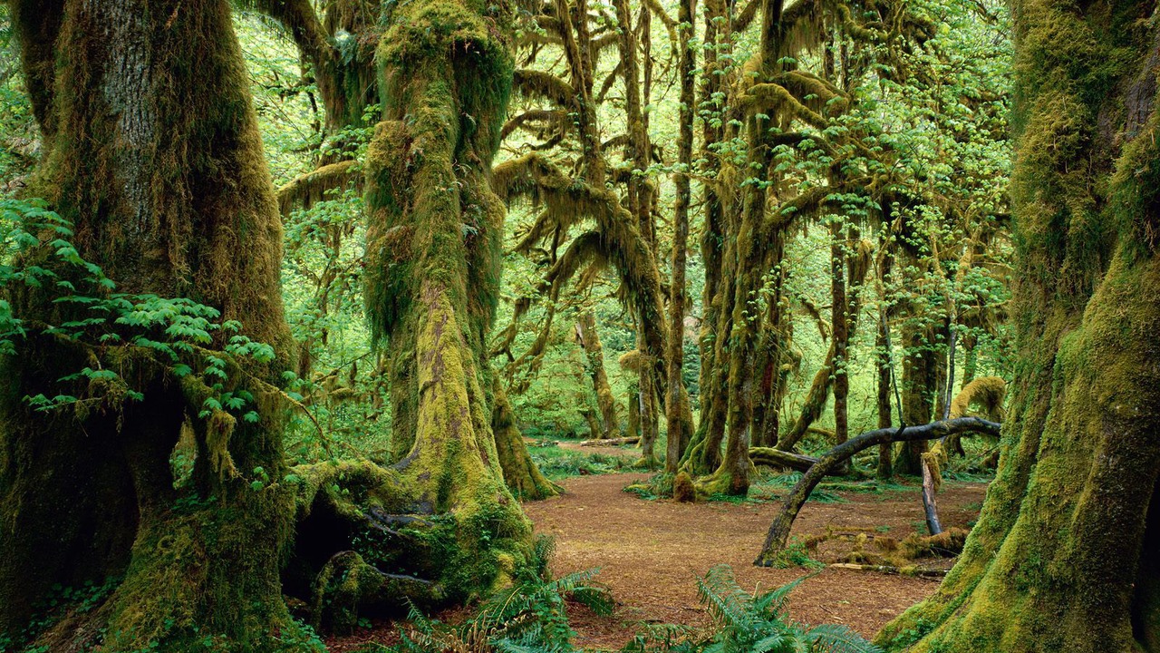 Photo of Outdoor in Port Angeles