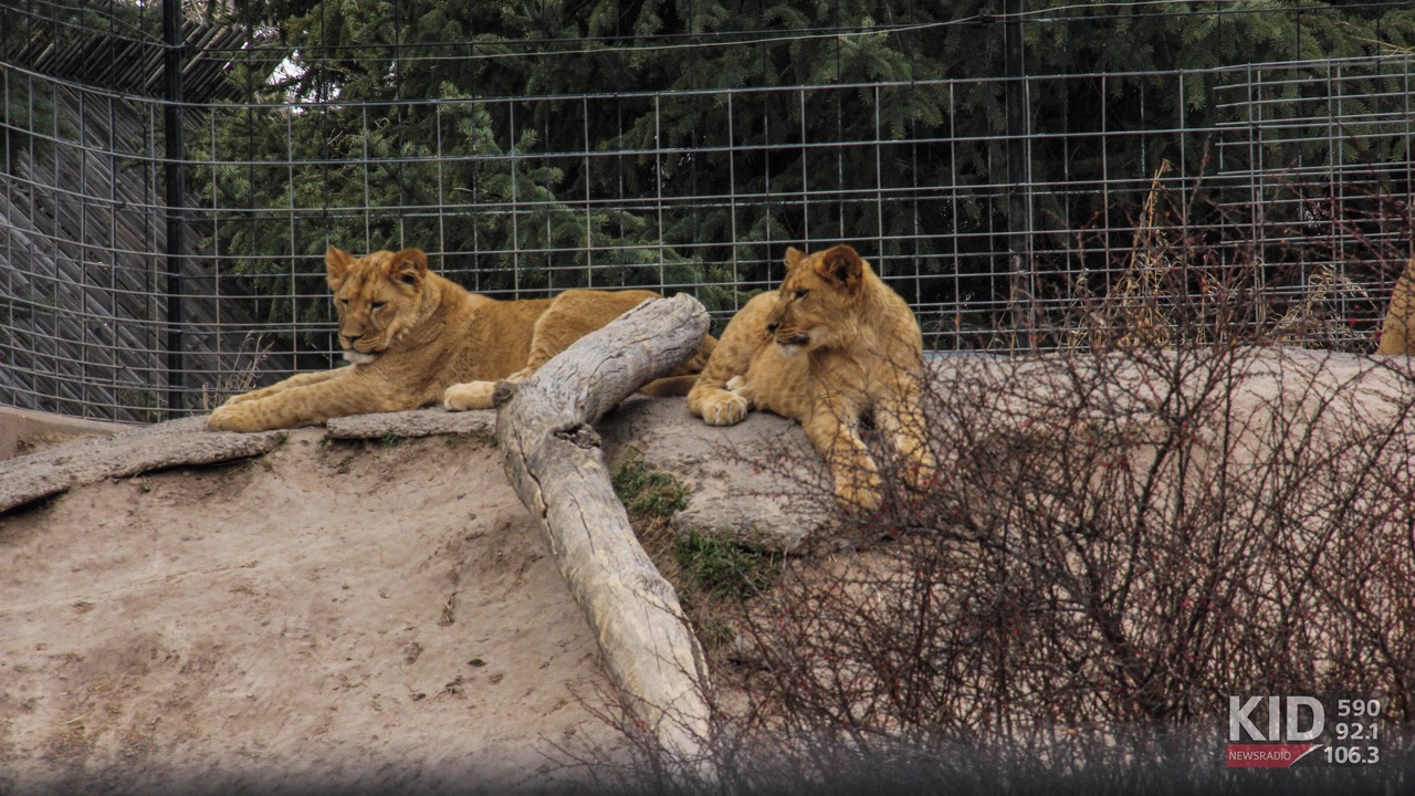 Photo of Others in Idaho Falls